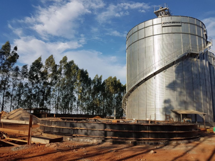 Produtores intensificam venda de soja em MT para abrir espaço a colheita de milho; preço sobe