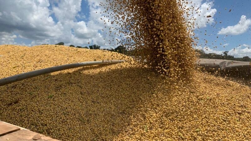Produtividade de soja em MT é de 62 sacas/hectare e IMEA aponta “cenário de atenção”