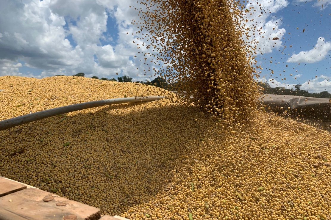 Produtividade de soja em MT é de 62 sacas/hectare e IMEA aponta “cenário de atenção”