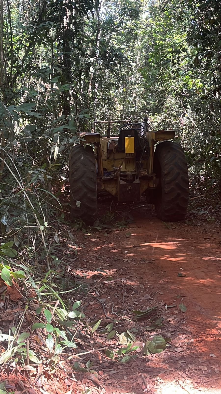 FLAGRANTE NA MATA! Invasores destroem reserva ambiental, fogem de caminhonete e deixam trator para trás ao verem a polícia em Marcelândia