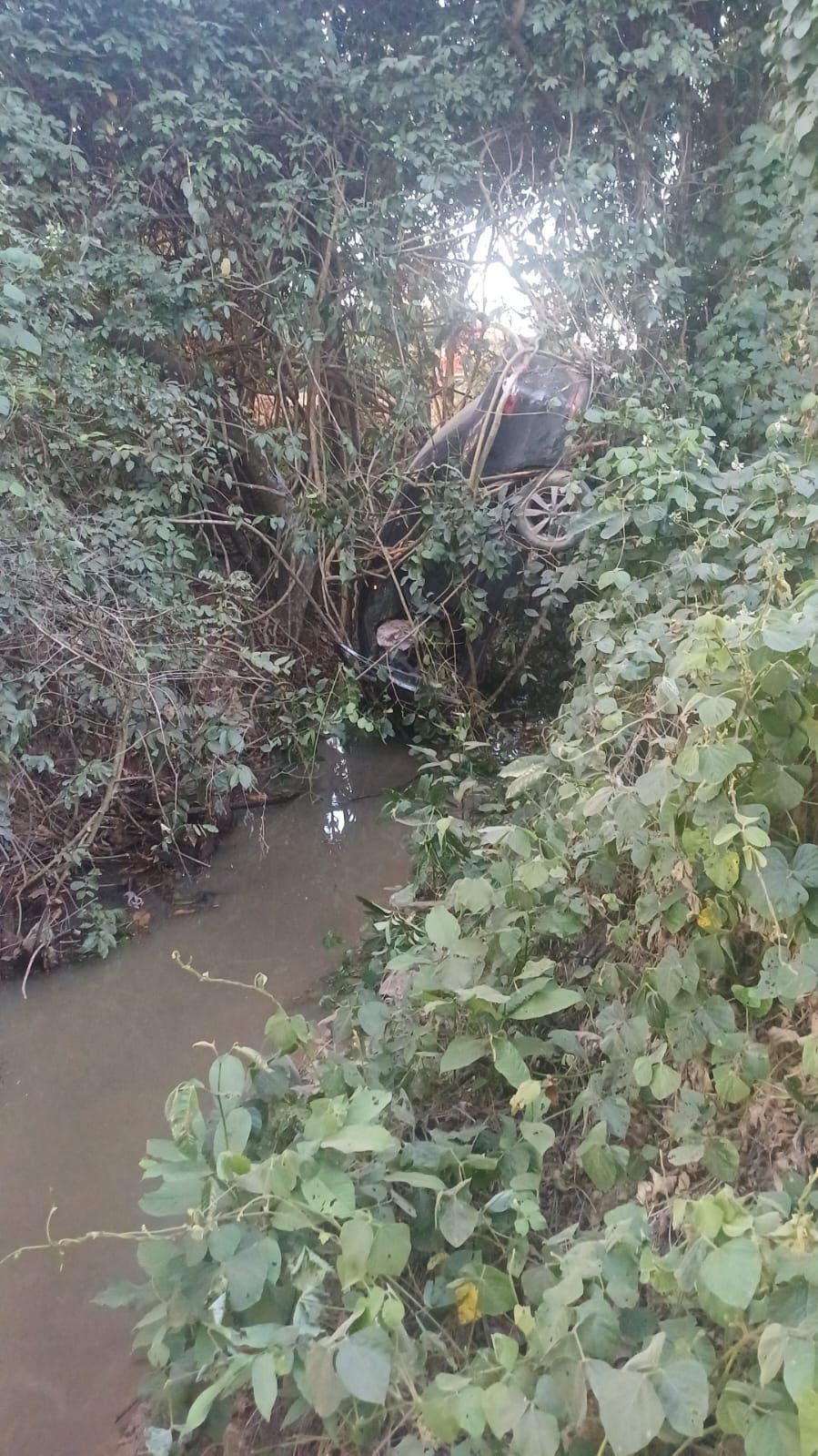 Carro capota, sai da pista e deixa duas pessoas feridas em grave acidente na BR-163 em Guarantã do Norte