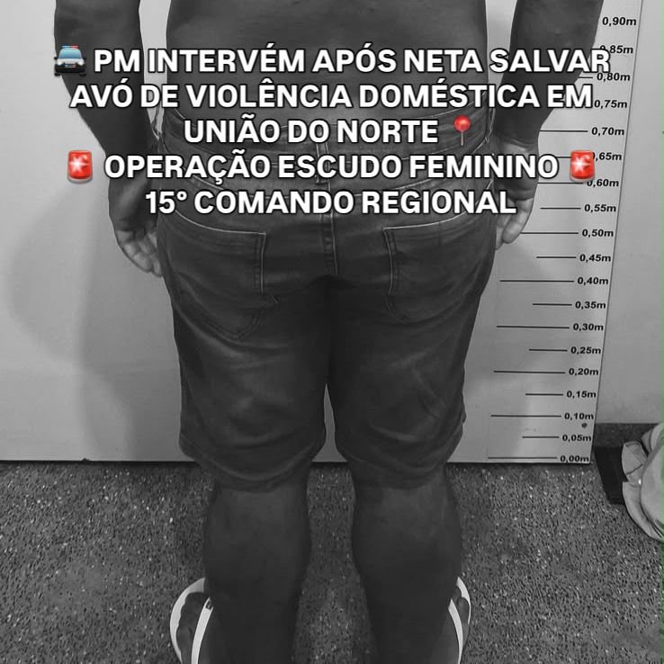 Áudios revelam ameaças e levam à prisão de homem por violência doméstica em União do Norte