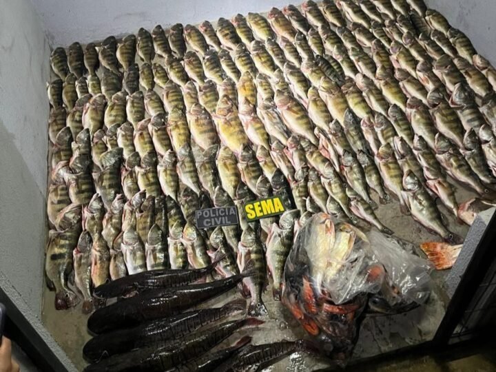 Operação flagra pescado proibido e carne de animais silvestres; multas passam de R$ 50 mil
