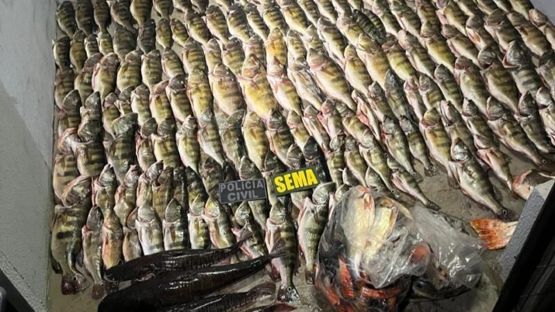 Operação flagra pescado proibido e carne de animais silvestres; multas passam de R$ 50 mil