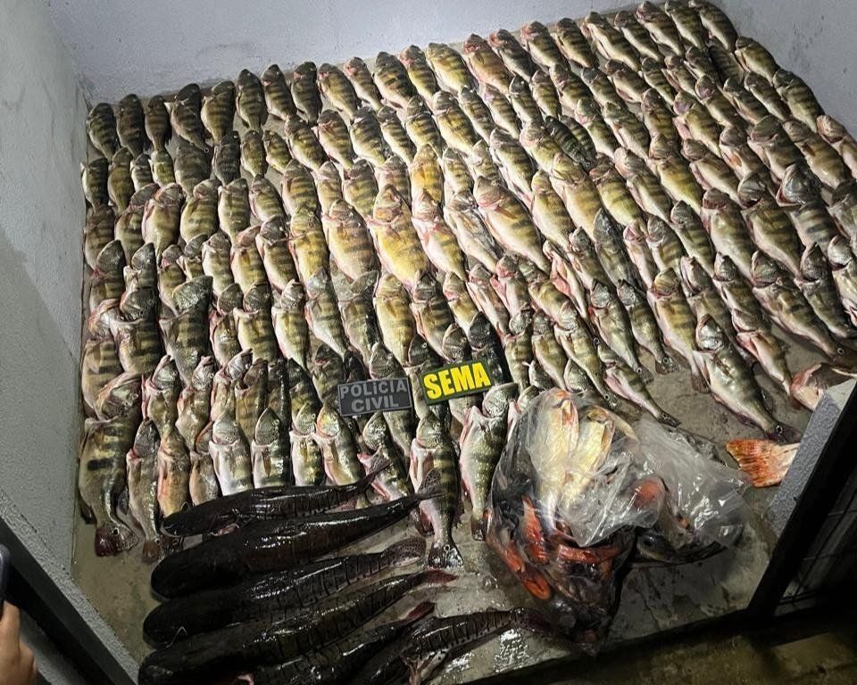 Operação flagra pescado proibido e carne de animais silvestres; multas passam de R$ 50 mil