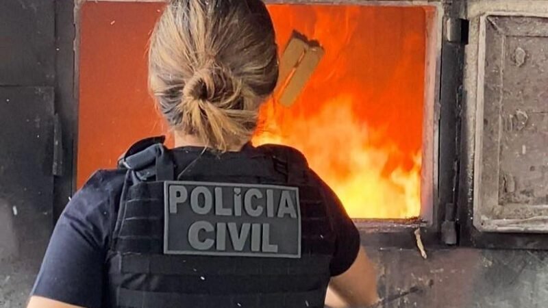 Polícia Civil incinera cerca de 40 quilos de entorpecentes apreendidos em Matupá