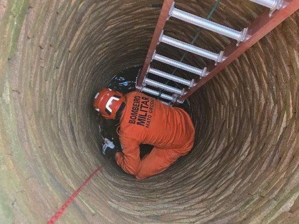 Cachorro é resgatado após cair em cisterna de 10 metros de profundidade