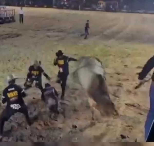 Veja o vídeo: Por centímetros, peão escapa de ser pisoteado por touro durante rodeio em Sinop