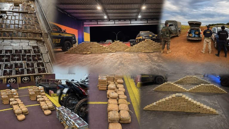 Megaoperação na rodovia intercepta quase meia tonelada de drogas em menos de 24 horas