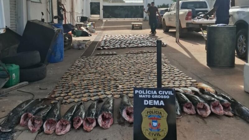 Esquema de pesca ilegal é desmontado com apreensão de mais de 900 quilos de peixes