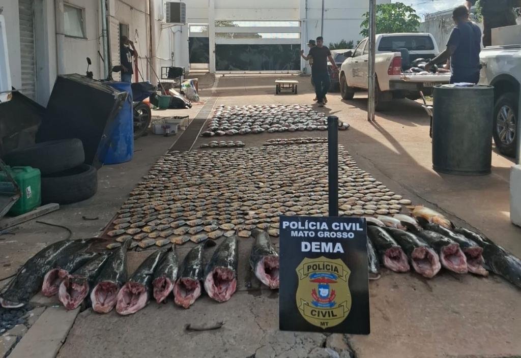Esquema de pesca ilegal é desmontado com apreensão de mais de 900 quilos de peixes