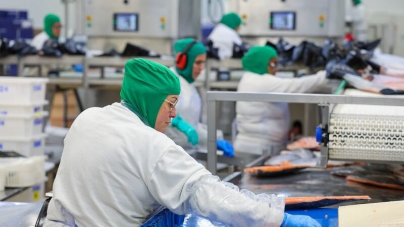 Sebrae vai oferecer apoio especializado para MPEs encontrarem caminho para exportação