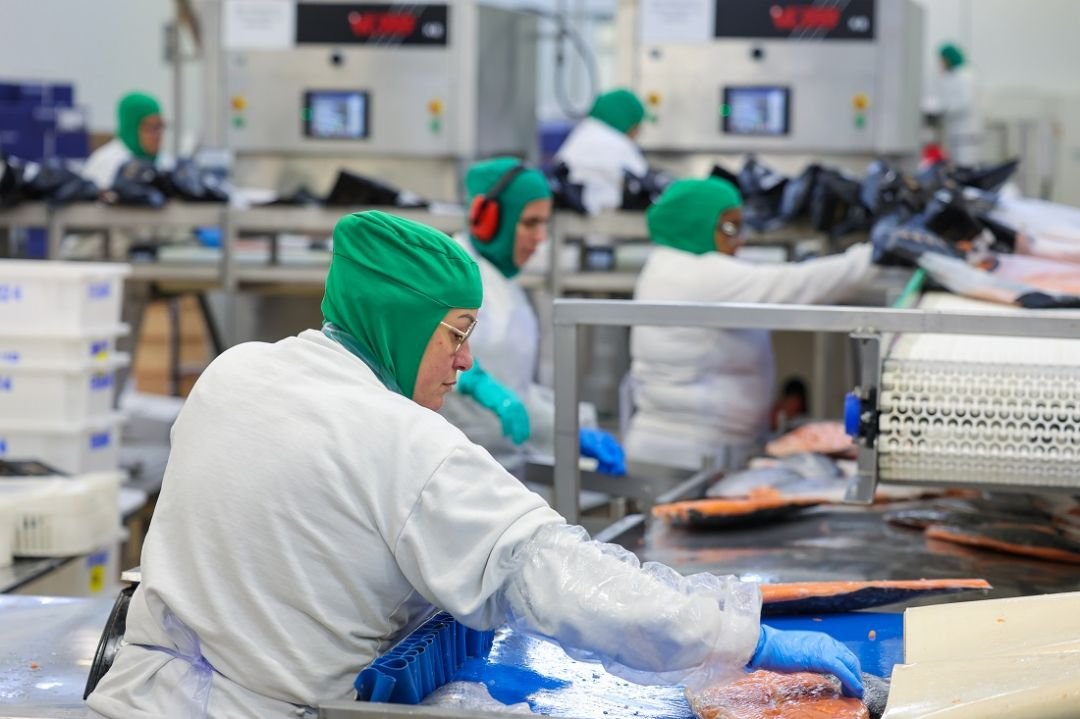 Sebrae vai oferecer apoio especializado para MPEs encontrarem caminho para exportação