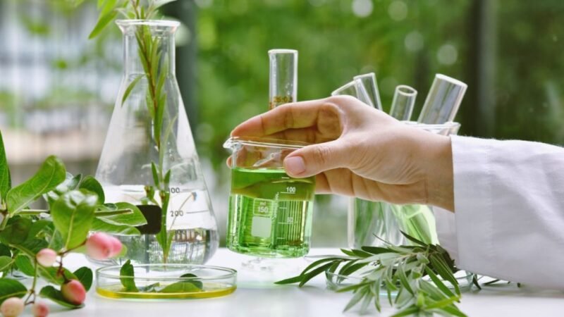 Bioeconomia movimenta R$ 2,7 trilhões no Brasil