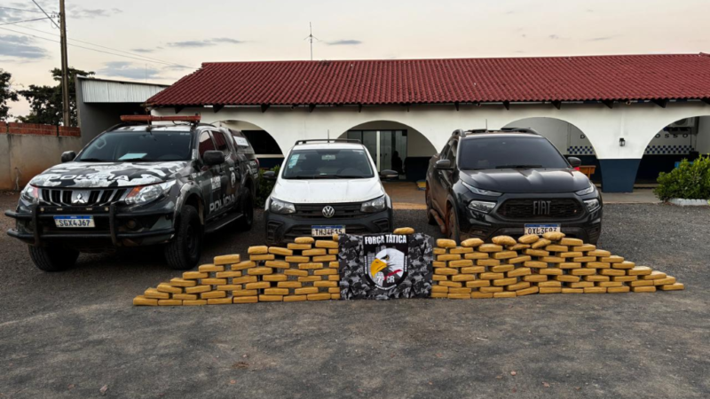PM intercepta carregamento de drogas e apreende 146 tabletes de maconha