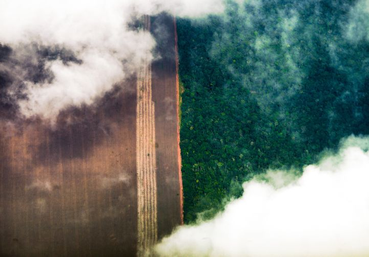Como o desmatamento da Amazônia ameaça produção de grãos do Paraná