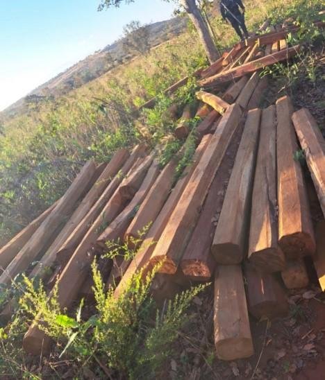 Operação da PM apreende quase 100 peças de madeira e prende dupla por crime ambiental