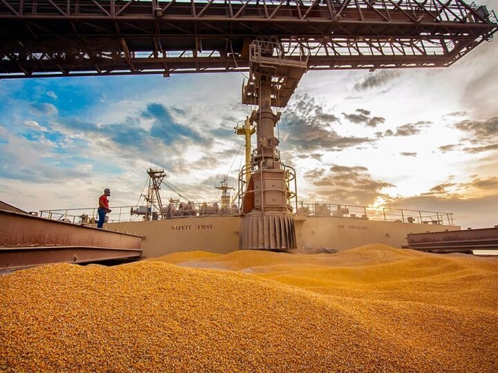 Mato Grosso aumenta exportação de milho e segue líder nacional; Egito é maior comprador