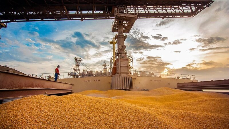Mato Grosso aumenta exportação de milho e segue líder nacional; Egito é maior comprador