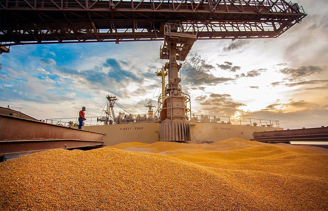 Mato Grosso aumenta exportação de milho e segue líder nacional; Egito é maior comprador