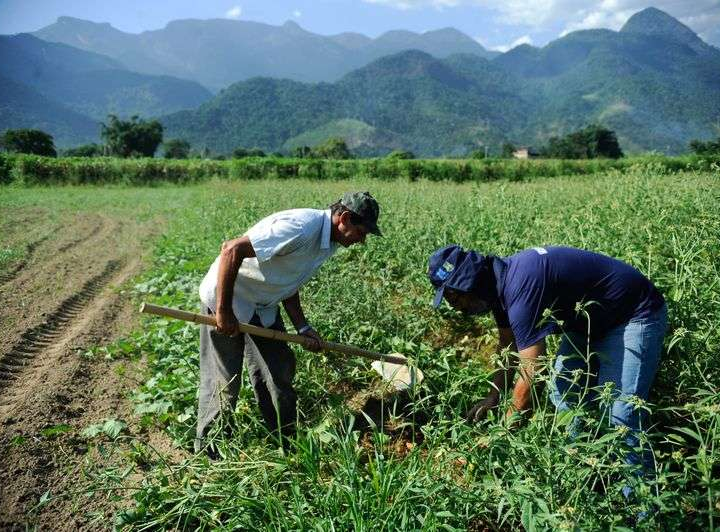 Finep vai pagar R$ 220 milhões para inovações em agricultura familiar