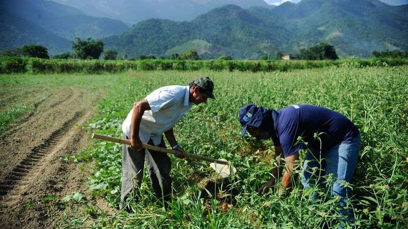 Finep vai pagar R$ 220 milhões para inovações em agricultura familiar