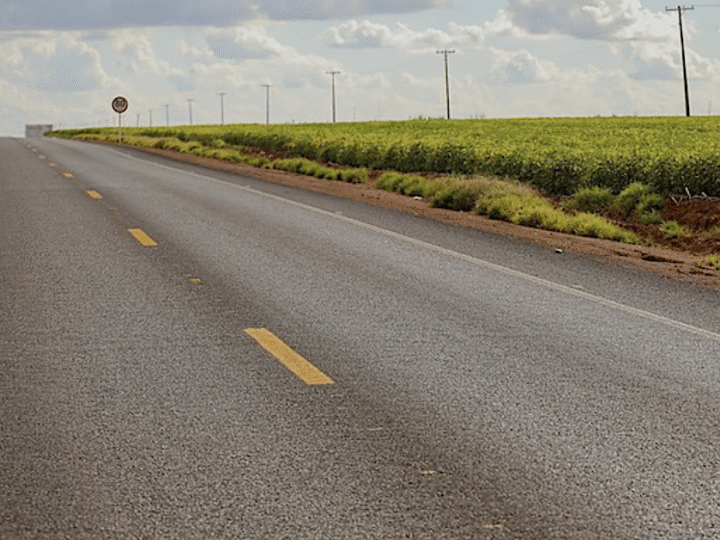 Federação aponta interpretação equivocada da norma de plantio às margens de rodovias em MT