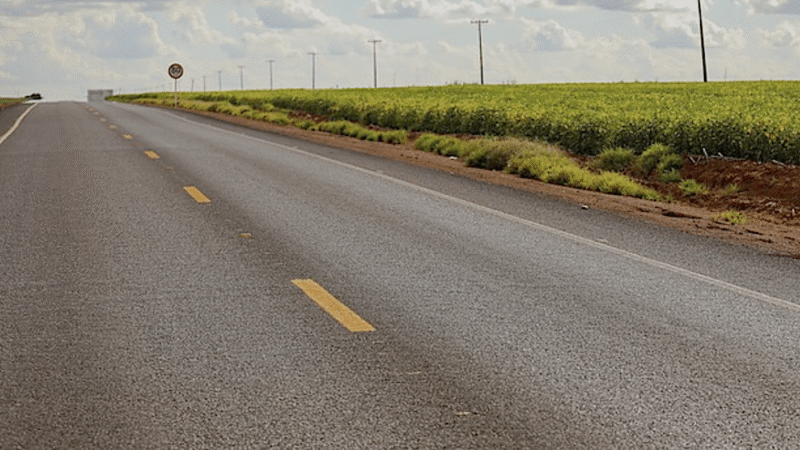 Federação aponta interpretação equivocada da norma de plantio às margens de rodovias em MT