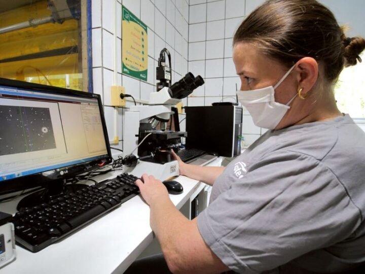 Master Agroindustrial recebe R$ 72,5 milhões para projeto inovador em suinocultura