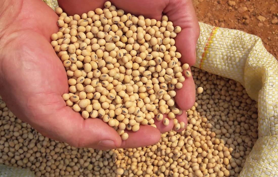 Preço da soja disponível em Mato Grosso sobe 1,7%