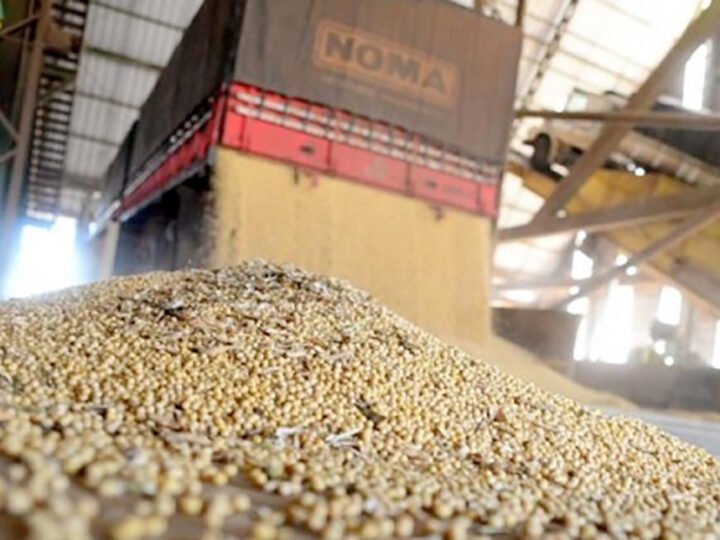 Safra atual e anterior da soja em Mato Grosso tem ‘preços favoráveis’