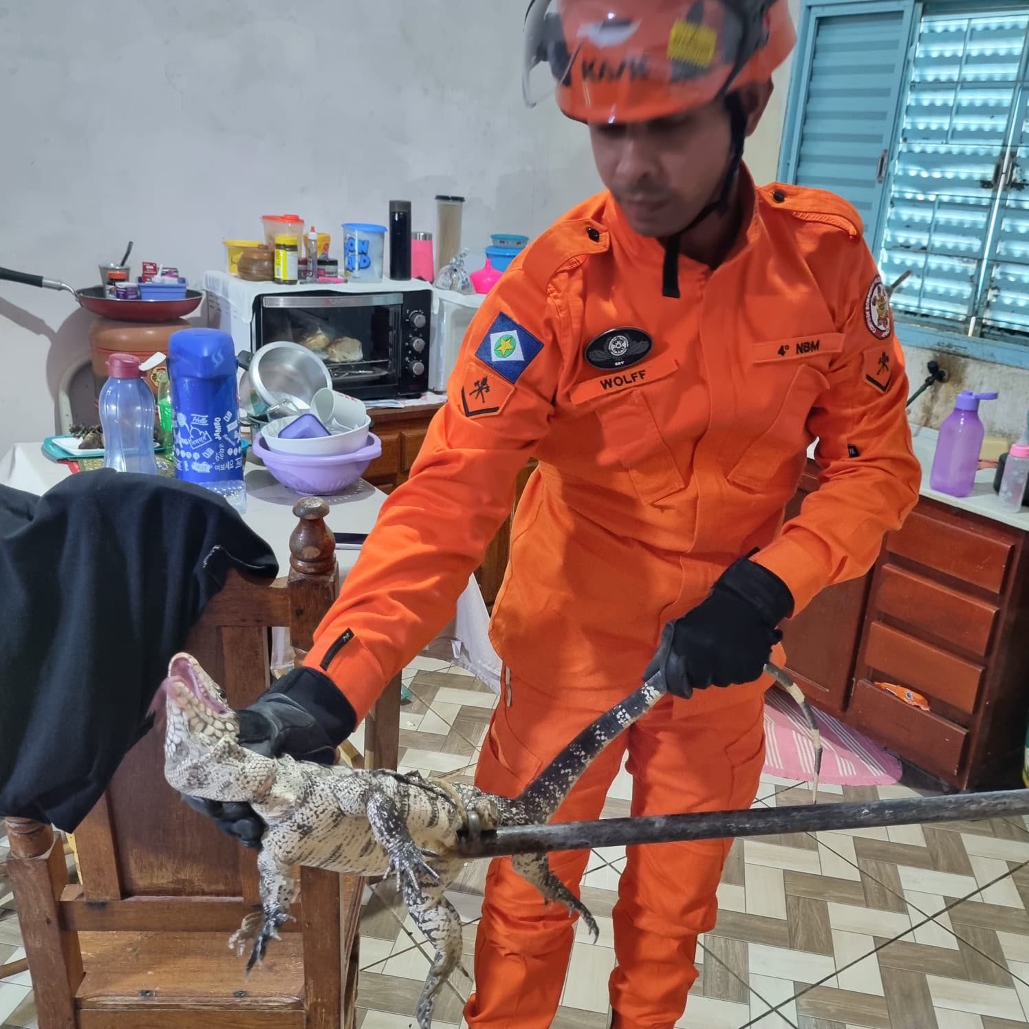 Lagarto invade residência em Guarantã do Norte e mobiliza Corpo de Bombeiros para resgate