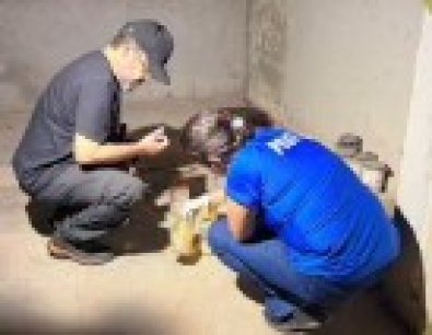 Funcionários encontram feto durante limpeza de escola em MT
