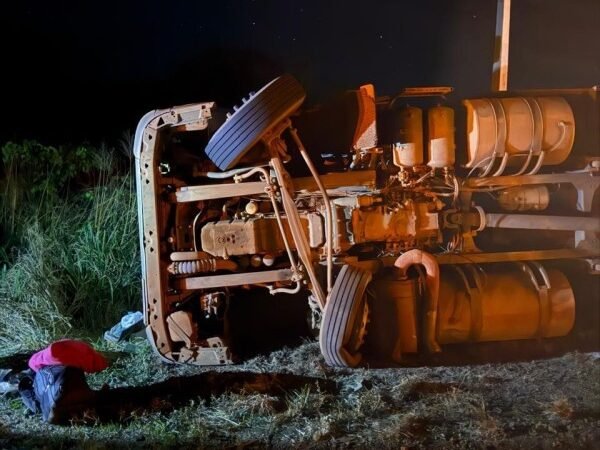 Carreta carregada de bois tomba às margens da MT-320 em Colíder