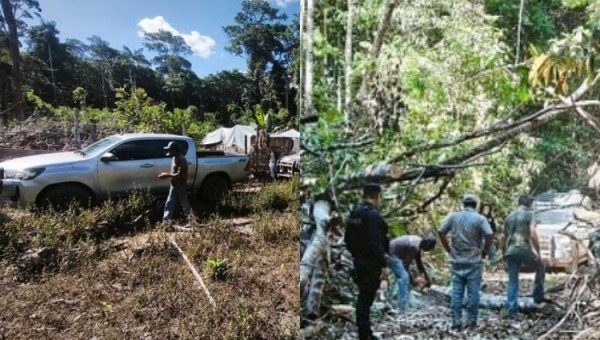 Corpo de idoso é encontrado em avançado estado de decomposição em fazenda de MT