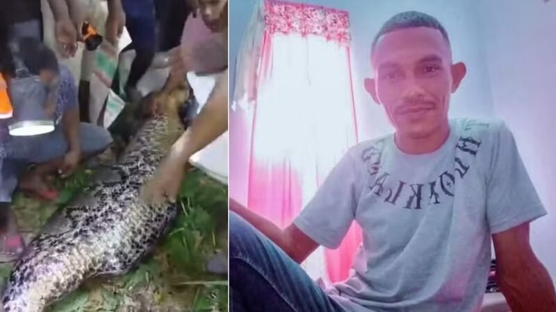 Homem é encontrado dentro de píton gigante após desaparecer durante caminho para casa