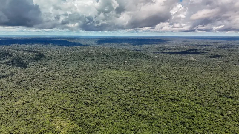 Adversária em campo, Noruega é parceira de ações ambientais do Brasil