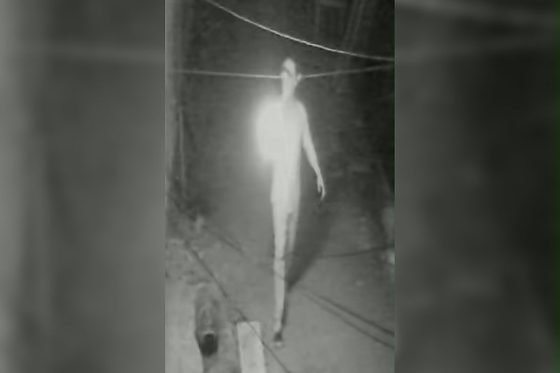 Suspeito de executar homem a tiros é preso menos de 24 horas após o crime no Nortão de MT