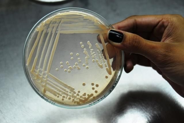 Bioinsumos movimentam R$ 7 bilhões no Brasil