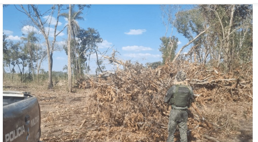 Fiscalização encontra desmate ilegal e área é embargada após irregularidade ambiental em MT