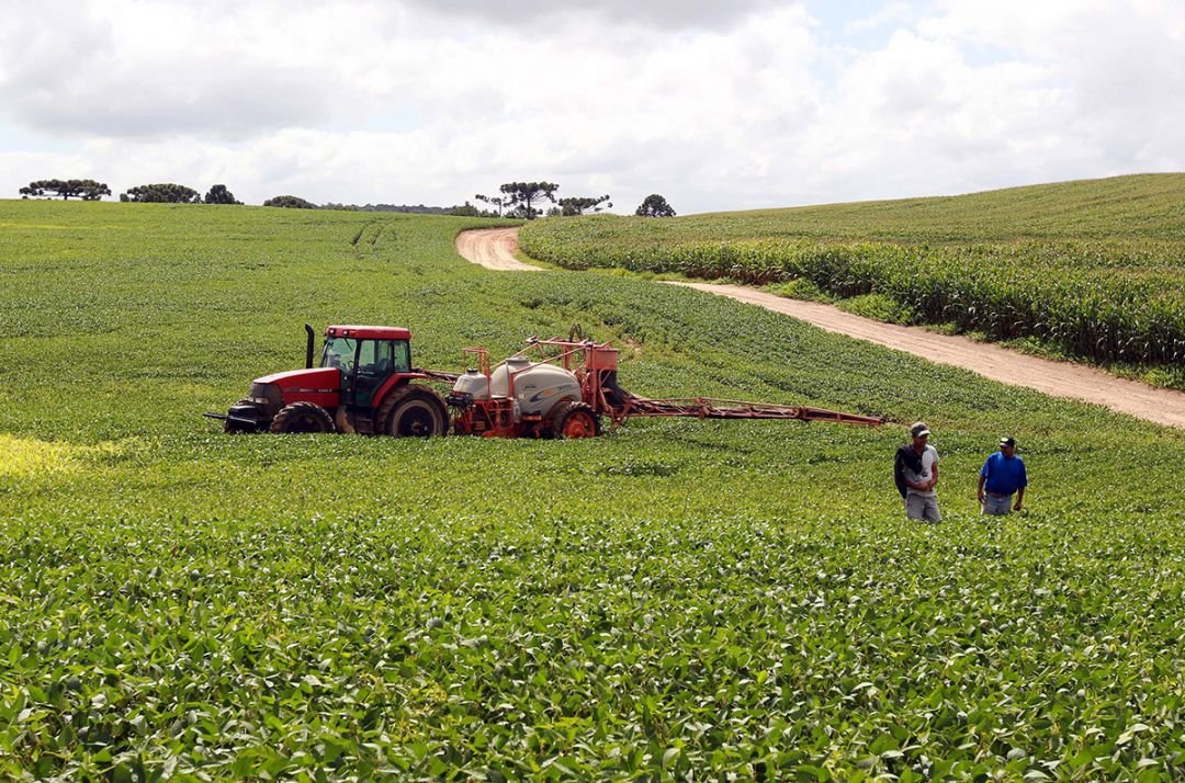 Conab estima safra de grãos de 360,8 milhões de toneladas