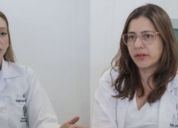 UEL lidera estudo sobre microplásticos na carne de porco