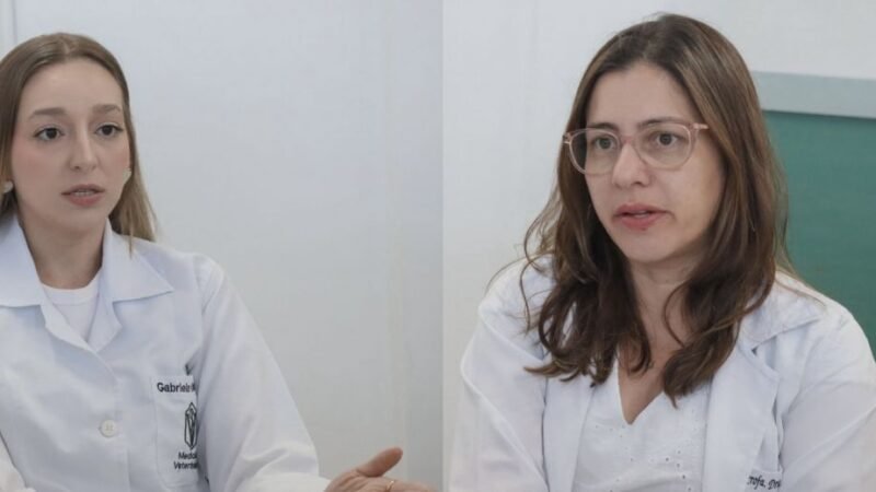 UEL lidera estudo sobre microplásticos na carne de porco