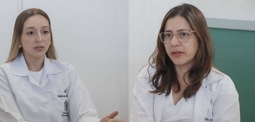 UEL lidera estudo sobre microplásticos na carne de porco