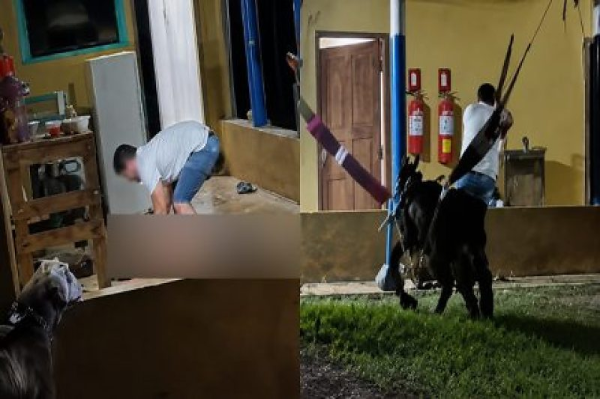 Vídeo mostra homem sendo espancado com pedaço de madeira até a morte em alojamento de fazenda
