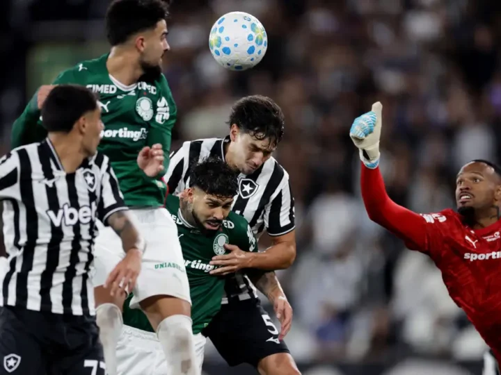 Botafogo segura Palmeiras e ajuda Flamengo, novo líder do Brasileirão