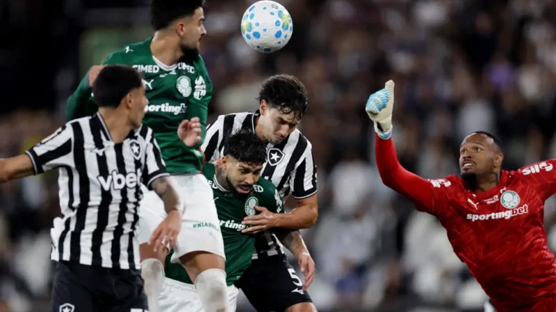 Botafogo segura Palmeiras e ajuda Flamengo, novo líder do Brasileirão