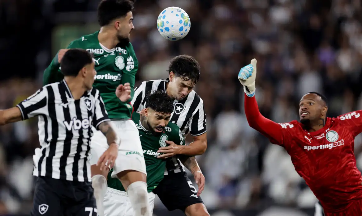 Botafogo segura Palmeiras e ajuda Flamengo, novo líder do Brasileirão