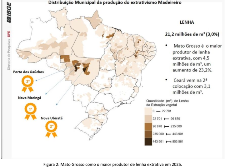 Mato Grosso registra queda na extração vegetal e avanço da silvicultura, aponta IBGE