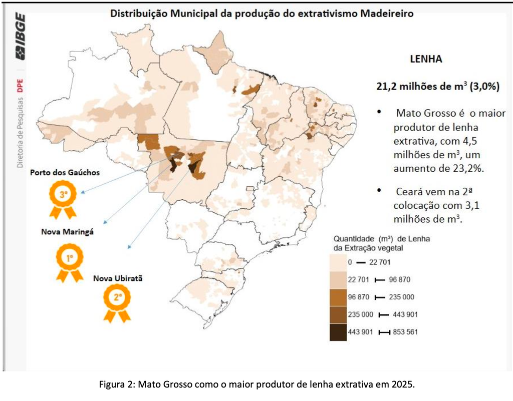 Mato Grosso registra queda na extração vegetal e avanço da silvicultura, aponta IBGE